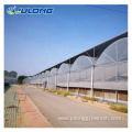 multi-span film vegetables greenhouse with hydroponic system